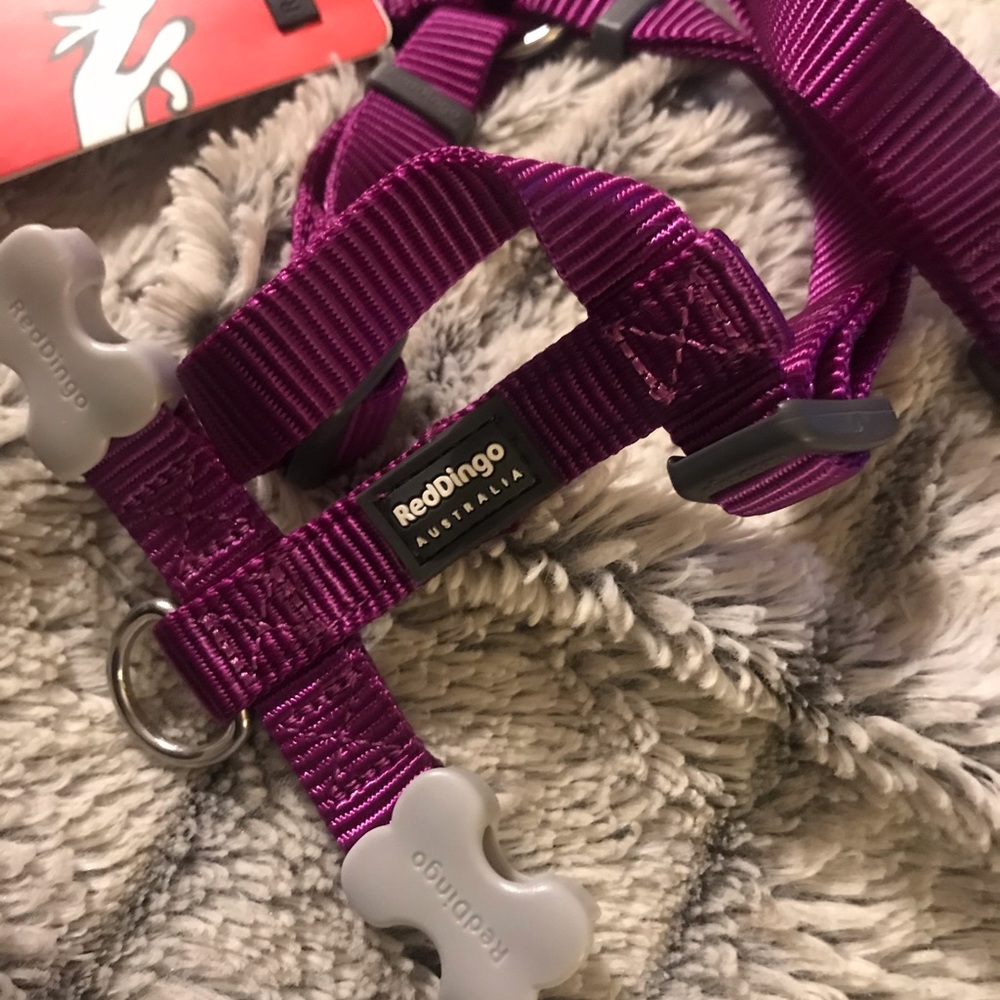 Dog Harness